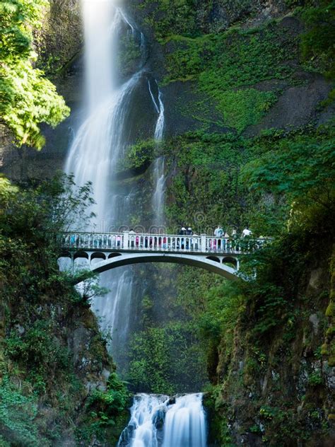 Multnomah Falls In Oregon Usa Stock Image Image Of Scenery Pacific