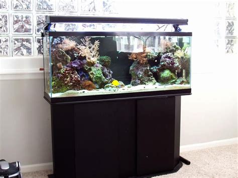 Need 55 Gallon Reef Setup Aquarium Fish Tank Saltwater Aquarium 55
