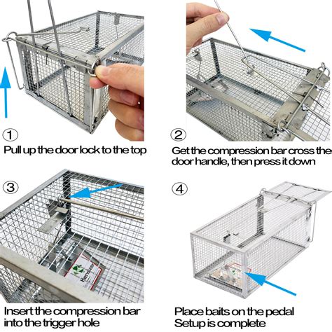 Rat Trap Humane Large Live Trap For Mouseopossummice Kensizer