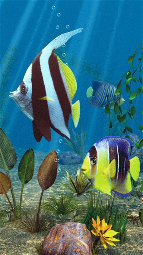 3d Tropical Fish  Download And Share On Phoneky