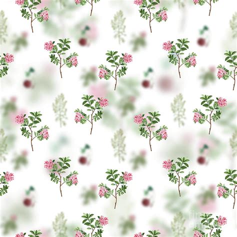 Vintage Hairy Alpenrose Floral Garden Pattern On White N1580 Mixed Media By Holy Rock Design