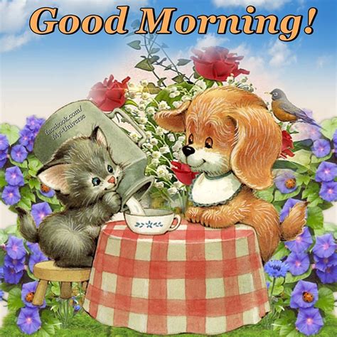 Good Morning Cute Dog And Cat Animated Images Morning Images Good