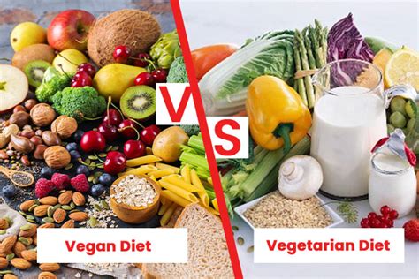 The Difference Between The Vegan And Vegetarian Diets Vegetarian Lounge