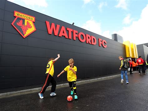 Vladimir ivic said after being named manager of relegated watford he needs to adapt as fast as possible to english football if he is to take them straight watford and bournemouth were relegated from the premier league on the final day of the season on sunday. Watford could face points deduction as EFL launch ...