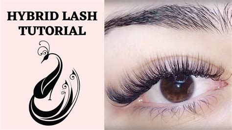 Hybrid Eyelash Extension Tutorial C And D Curl Is It Ok To Mix Curls
