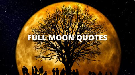 Best Full Moon Quotes On Success In Life Overallmotivation