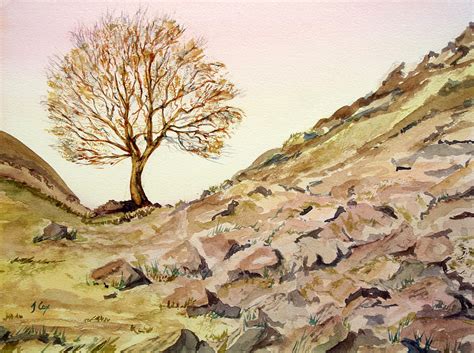 The Lone Sentry Sycamore Gap Painting By John Cox