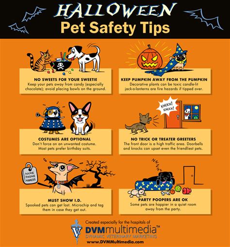 6 Tips To Keep Your Pets Safe This Halloween Daboyz Cane Corso