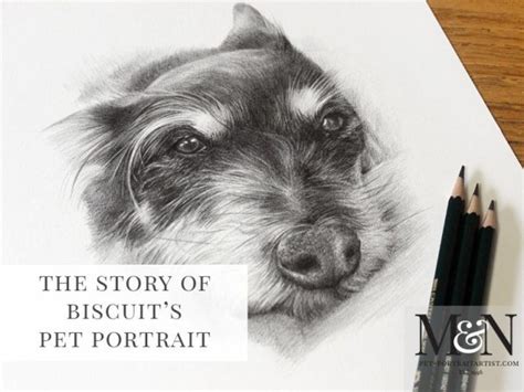 Pencil Drawing Pet Portrait Melanie And Nicholas Pet Portraits
