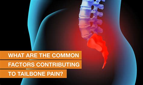 Best Spine Specialists Treatment In Mumbai Blogs QI Spine