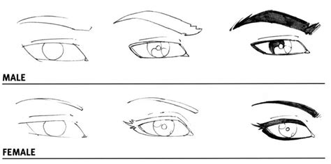 How To Draw Male Vs Female Eyes
