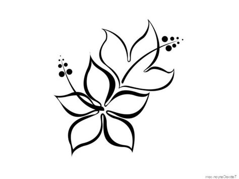 Tropical flower hawaiian flower drawing. Hawaiian Flower Drawing | Free download on ClipArtMag