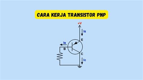 √ Transistor Pnp Gambar Fungsi Ciri Cara Kerja Cek