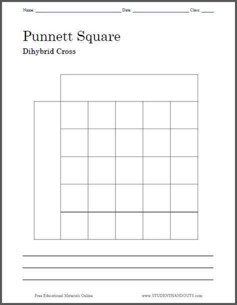 Blank Punnett Square