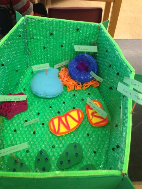 Plant Cell 3 D Model Cells Project Plant Cell Science Fair Crafty