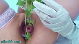 Extreme Female Inserting Nettles Into Cervix And Rod Flowers