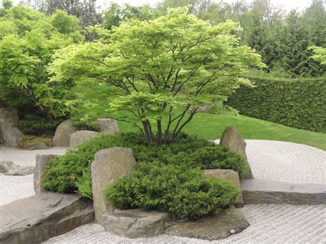 Japanischer Fächerahorn … | Garten, Japanischer garten Ein schönes kunstobjekt für den garten.
