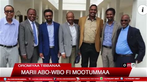 Omn Oromiyaa Tibbanaa Marii Abo Wbo Fi Mootummaa Caamsaa 82023 Youtube
