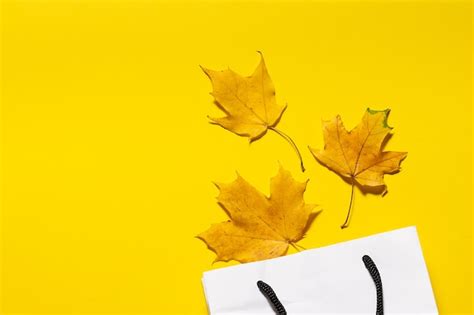 Premium Photo Paper Bag And Maple Leaves With Copy Space
