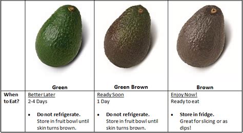 How To Pick Avocado A Comprehensive Guide Ihsanpedia