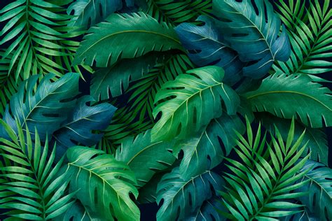 Tropical Leaves Illustration Free Download Green Leaf Background