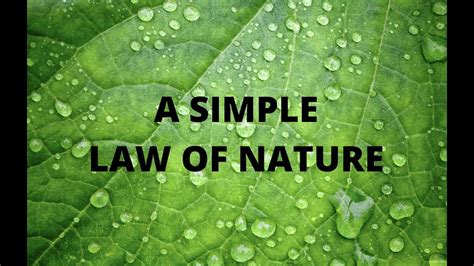 A Simple Law Of Nature Youtube