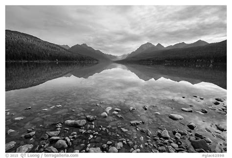 Black And White Picturephoto Bowman Lake Glacier National Park