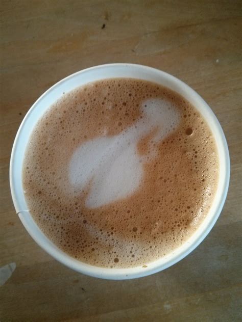 Scientician Kate Says This Is About Is That A Penis In My Coffee Or