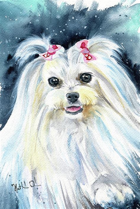 Olivia Maltese Dog Painting Painting By Dora Hathazi Mendes Fine Art