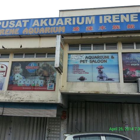 Get their location and phone number here. Aquarium Fish Shop In Petaling Jaya - Aquarium Views
