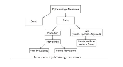 Basic Measurements In Epidemiology Know Public Health