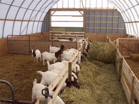 Livestock Shelters Artofit