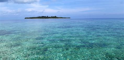 The Coral Sikandang 2022 Prices And Reviews Kepulauan Banyak Indonesia