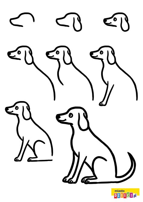 Jak Narysować Psa I Kota Krok Po Kroku Margaret Wiegel