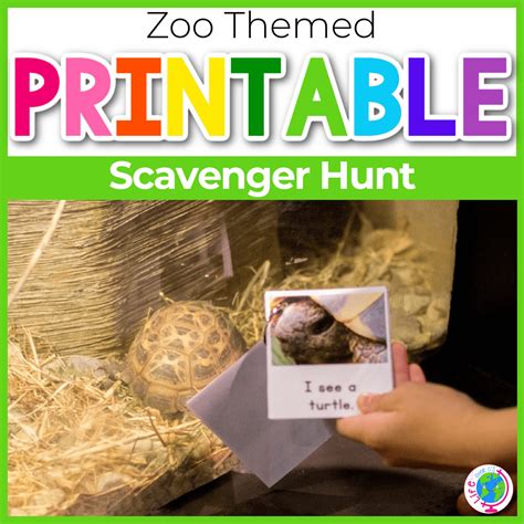 Zoo Scavenger Hunt Worksheet Kindergarten