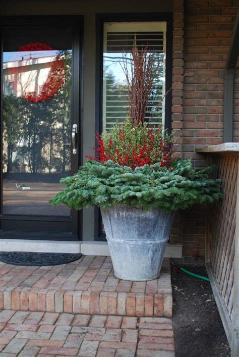 Winter Containers Dirt Simple Winter Garden Winter Container