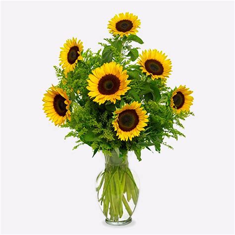 We did not find results for: Snazzy Sunflowers in New York, NY | Flowers, Naturally ...