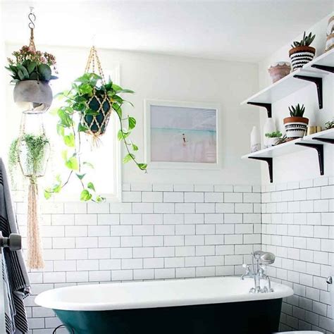 Heres The Latest Low Maintenance Plant Trend Taking Over Pinterest