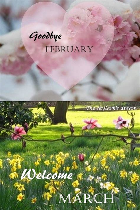 Goodbye February Welcome March Images Quotes Marchimages