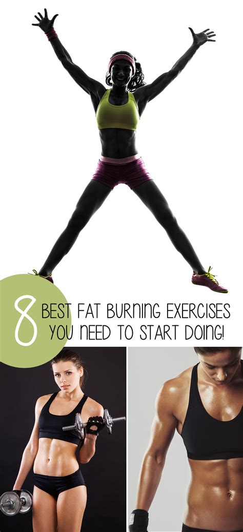 Fat Burning Rowing Exercises Reduce Fatigue After Exercise How To Lose Belly Fat Swimming Cat
