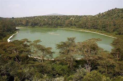 Crater Lake In Kenya Stock Photo Image Of Landscape 196309282