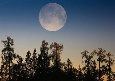 Supermoon: how an illusion makes the full Moon appear bigger than it ...