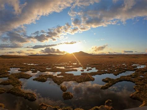 Peat In Whisky Everything You Need To Know Whisky Investment