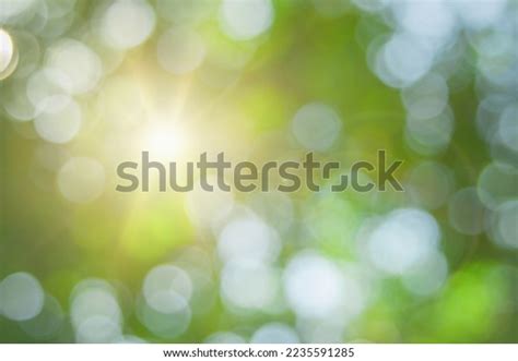 Abstract Blur Green Foliage Tree Jungle Stock Photo 2235591285