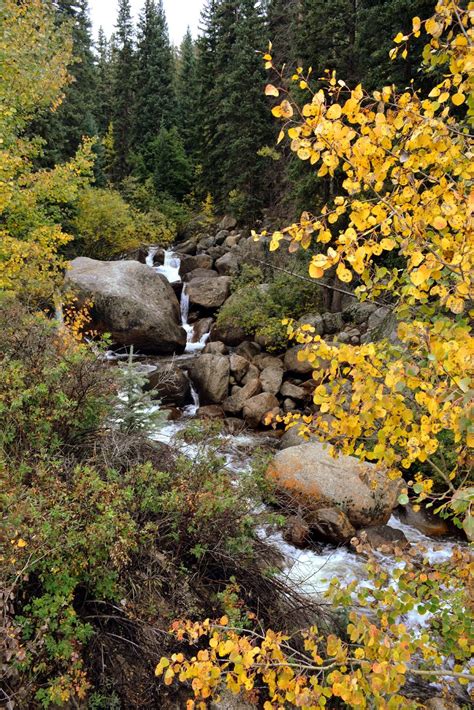 Mille Fiori Favoriti Hello Autumn Guanella Pass Colorado And Easy