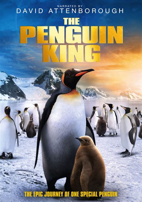 They do this during the winter when it's cold enough for them to be subscribe to trailers: Penguin King DVD Packshot - HeyUGuys