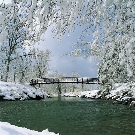 Visit bringfido for an overview of the trail, along with pictures, directions, and reviews from dog owners who've been there. Stowe Recreation Path | Things to Do in Stowe, Vermont | VT