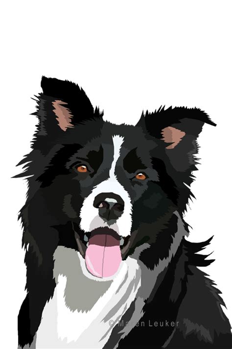 Border Collie Vector At Getdrawings Free Download