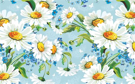 Wallpaper Drawing Illustration Flowers Daisies Flower Background