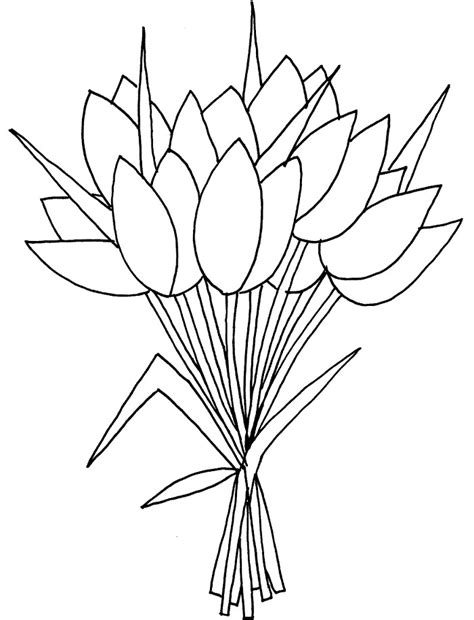 Gambar bunga tulip berikut bisa didownload gratis dan digunakan untuk keperluan sendiri. Gambar Mewarnai Bunga Matahari,Mawar,Tulip,Melati ...